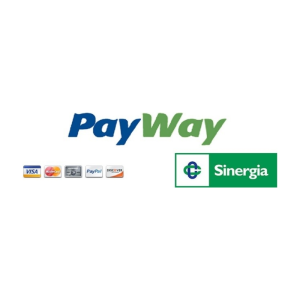 PayWay Sinergia IGFS