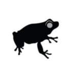 blackfrog's Avatar