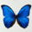 trangnguyen14216's Avatar