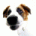 Viturkz's Avatar